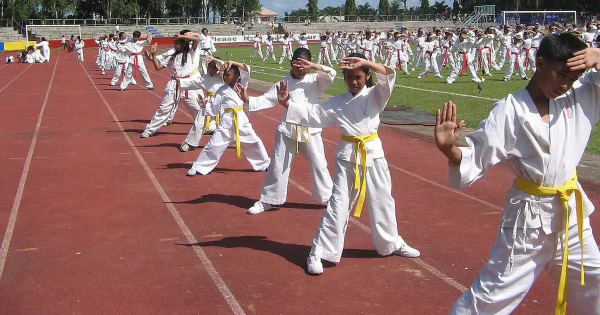 Side-by-side illustration of a kung fu practitioner in horse stance and a karate practitioner in zenkutsu-dachi — stance geometry encodes each system's divergent mechanical priorities.